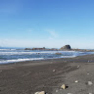 Meet your Posher, Paige